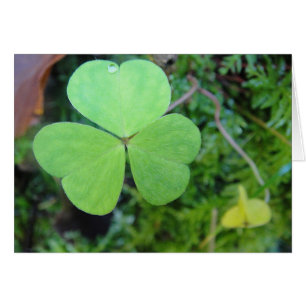 green clover card, blank