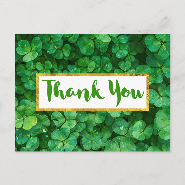 Green Clover Leaves Background Thank You Postcard (Front)