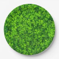 Green Clover Leaves with Water Drops