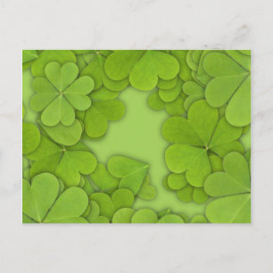 Green Clovers Postcard