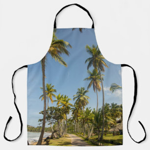 Green coconut palm tree near green grass field in  apron