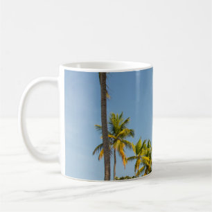 Green coconut palm tree near green grass field in  coffee mug