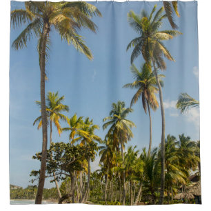 Green coconut palm tree near green grass field in  shower curtain