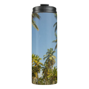 Green coconut palm tree near green grass field in thermal tumbler