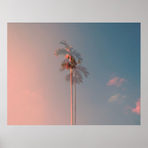 Green coconut tree poster