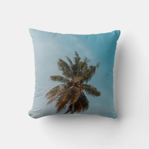 Green coconut tree under blue sky cushion