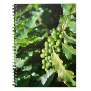 Green Coffee Berries Notebook