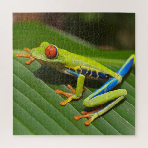 Green Colorful Jungle Tree Frog Jigsaw Puzzle