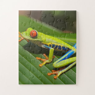 Green Colorful Jungle Tree Frog Jigsaw Puzzle