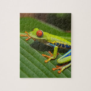 Green Colourful Jungle Tree Frog Jigsaw Puzzle