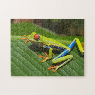 Green Colourful Jungle Tree Frog Jigsaw Puzzle