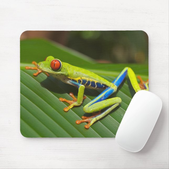 Green Colourful Jungle Tree Frog Mouse Mat (With Mouse)