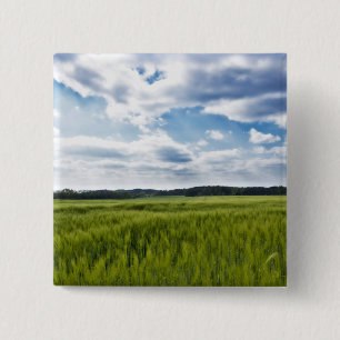 Green Cornfields and Blue Skies 15 Cm Square Badge
