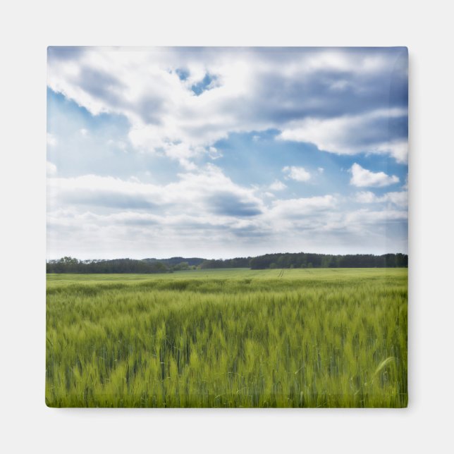 Green Cornfields and Blue Skies Magnet (Front)
