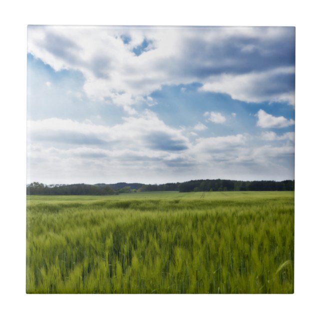 Green Cornfields and Blue Skies Tile (Front)