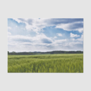 Green Cornfields and Blue Skies Tissue Paper