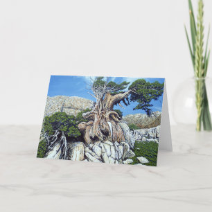 Green Creek Tree Card