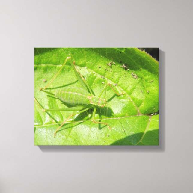 Green Cricket Camouflage Canvas Print (Front)