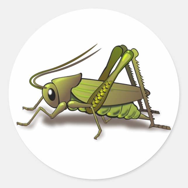 Green Cricket Insect Classic Round Sticker (Front)