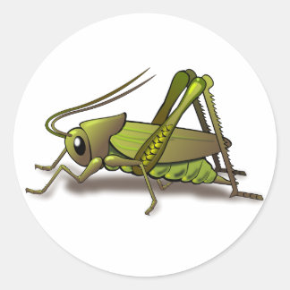 Green Cricket Insect Classic Round Sticker