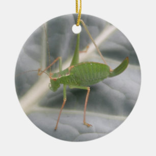 Green Cricket Macro Custom Birthday Ceramic Tree Decoration