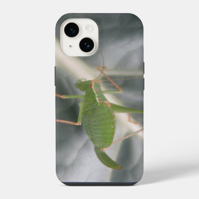 Green Cricket Macro iPhone Case (Back)