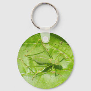 Green Cricket Macro Keychain