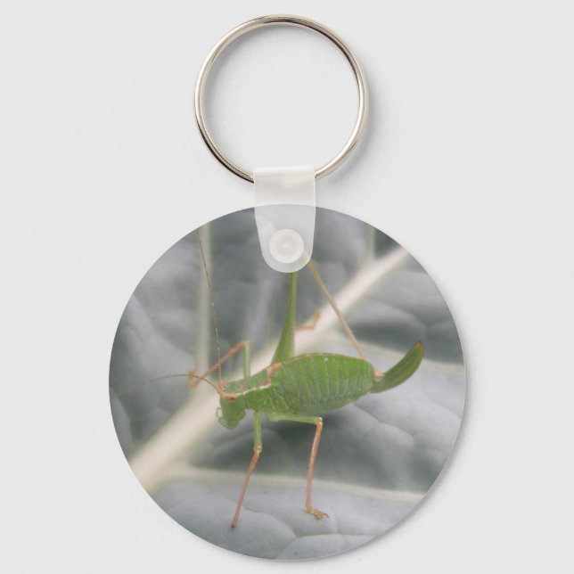Green Cricket Macro Keychain (Front)