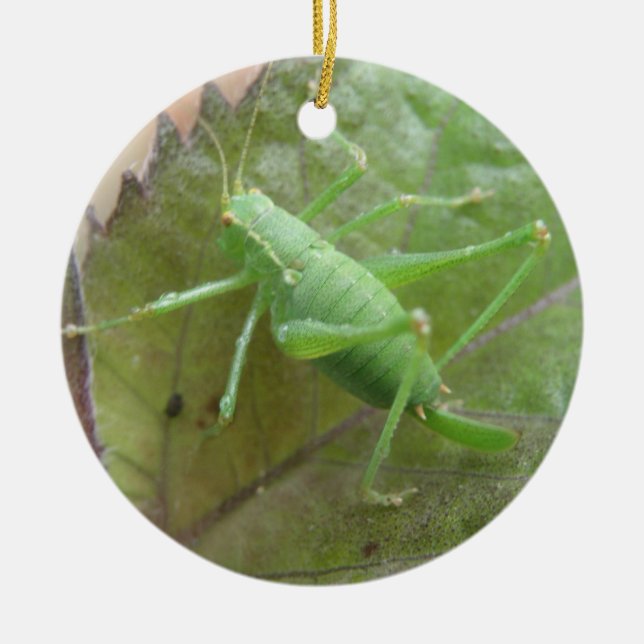 Green Cricket on a Leaf Custom Birthday Ceramic Tree Decoration (Front)