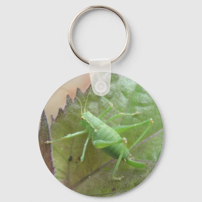 Green Cricket on a Leaf Keychain (Front)