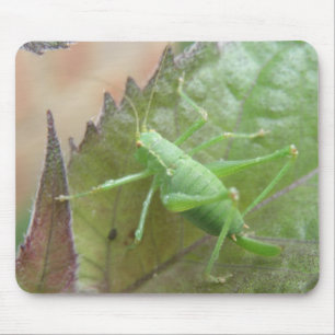 Green Cricket on a Leaf Mousepad