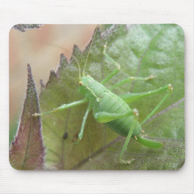 Green Cricket on a Leaf Mousepad (Front)