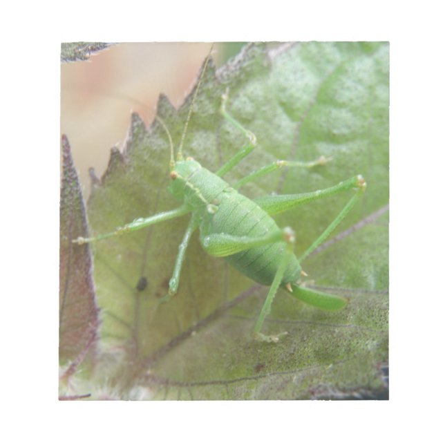 Green Cricket on a Leaf Notepad (Front)