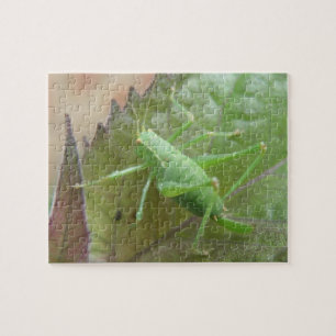 Green Cricket on a Leaf Puzzle