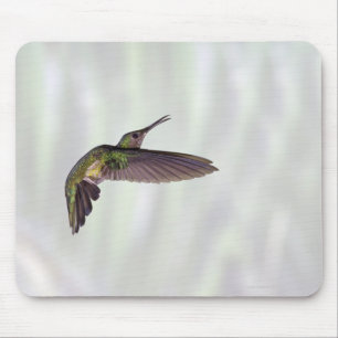 Green-crowned Brilliant Heliodoxa jacula female Mouse Mat