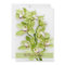 Green Cymbidium Orchid Wedding Invitation 5x7 Size