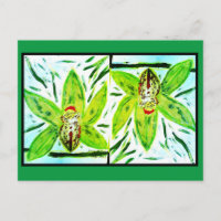 Green Cymbidium Orchids Postcard