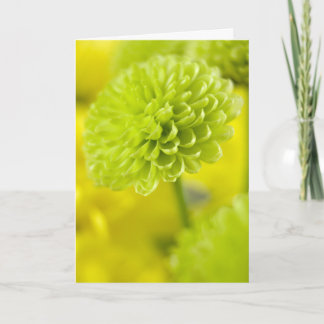 Green Dahlia flower ... Easter card