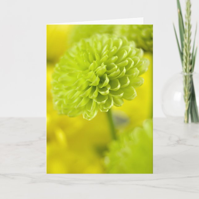 Green Dahlia flower ... Easter card (Front)