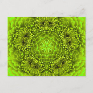 GREEN DAHLIA FLOWER POSTCARD