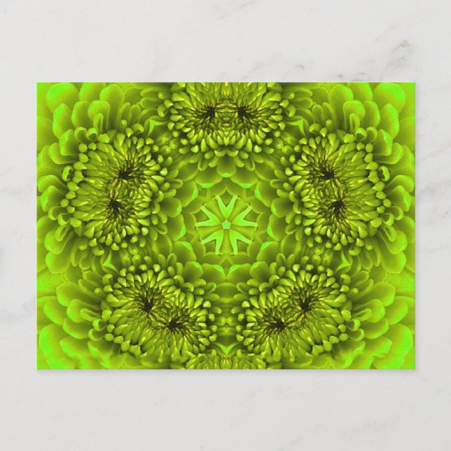GREEN DAHLIA FLOWER POSTCARD (Front)