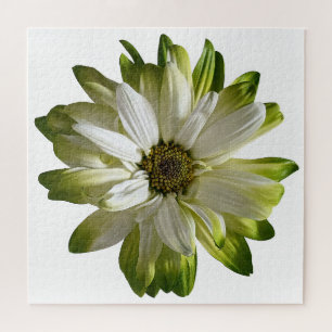 Green Daisy Jigsaw Puzzle