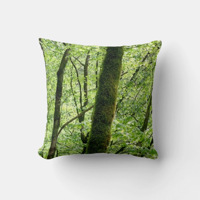 Green Deciduous  Forest Trees Nature Photography Cushion (Front)