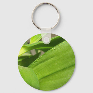 Green Dendrobium Orchid plant closeup Key Ring
