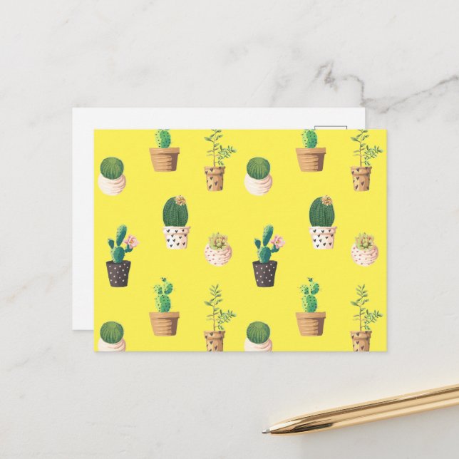 Green Dessert Succulent Cactus in Pots Postcard (Front/Back In Situ)