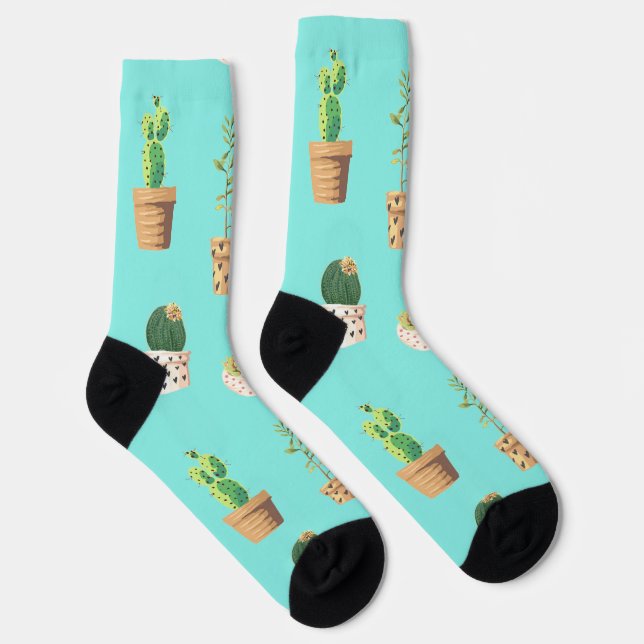 Green Dessert Succulent Cactus in Pots Socks (Right)