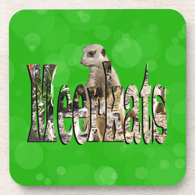 Green Dimensional Meerkats Name Logo, Coaster (Front)