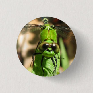 "Green Dragon" Eco Pin
