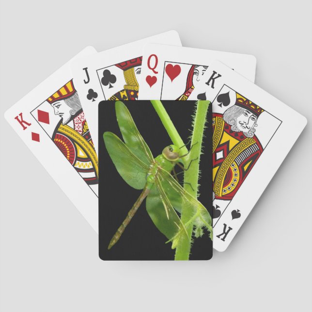 Green Dragonfly Playing Cards (Back)