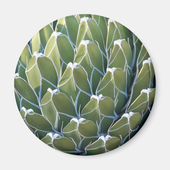 Green Dreams Magnet (Front)